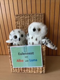 Klassentier_Alba_Luna_Eule1a_Schürger23
